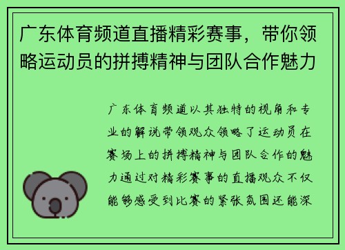 广东体育频道直播精彩赛事，带你领略运动员的拼搏精神与团队合作魅力